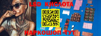 индика Ярославль