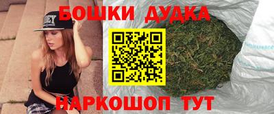 индика Ярославль