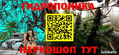 индика Ярославль