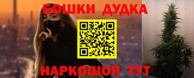 индика Ярославль