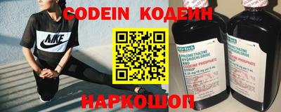 индика Ярославль