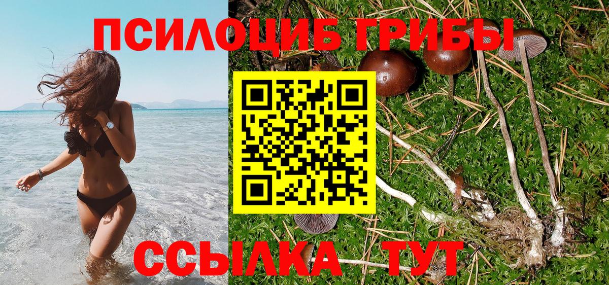 Галлюциногенные грибы GOLDEN TEACHER  Вход с VPN  Баксан 